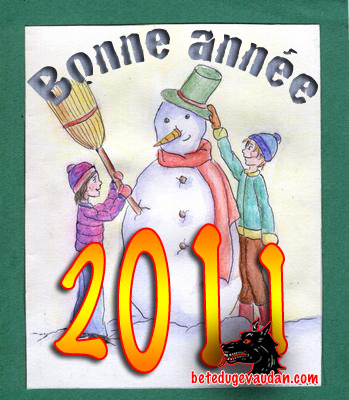 Bonne Année 2011