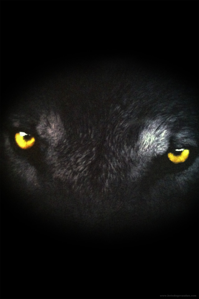 Image pour iPhone/iPod Touch / iPad