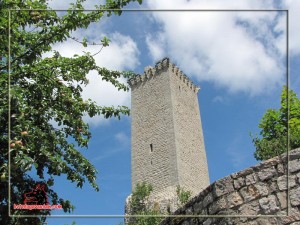 chateau_apcher_2011-08-04_108