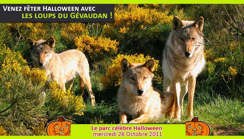 loups_gevaudan_halloween_2011
