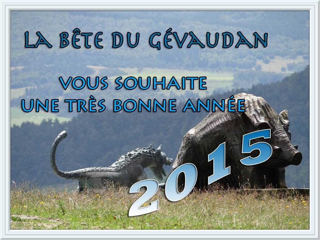 Bonna année 2015